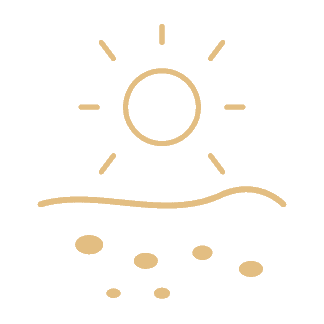 Faded Sun Damage